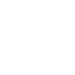 Fat Dissolver -Slim Shots